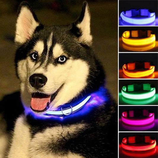 Bark-Bright Nylon LED Dog Collar (2 Pieces)