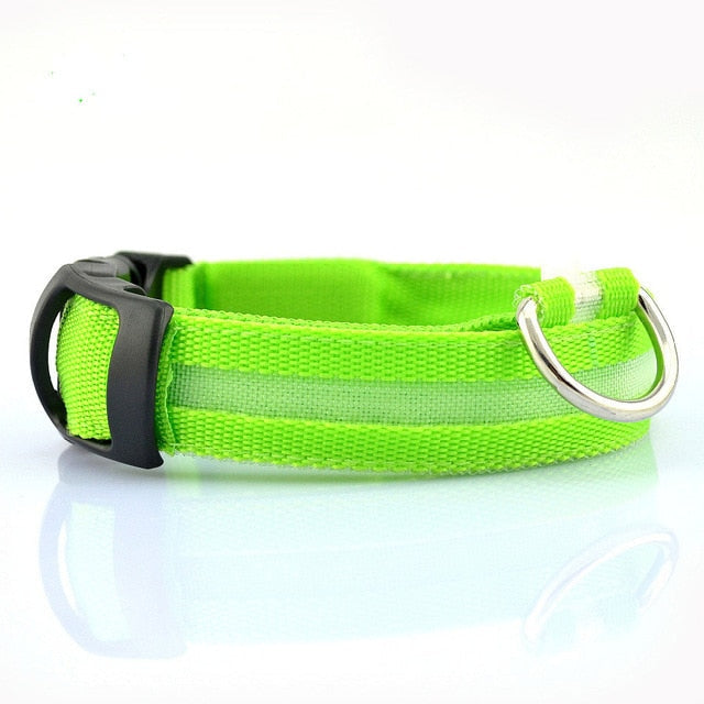 Bark-Bright Nylon LED Dog Collar (2 Pieces)