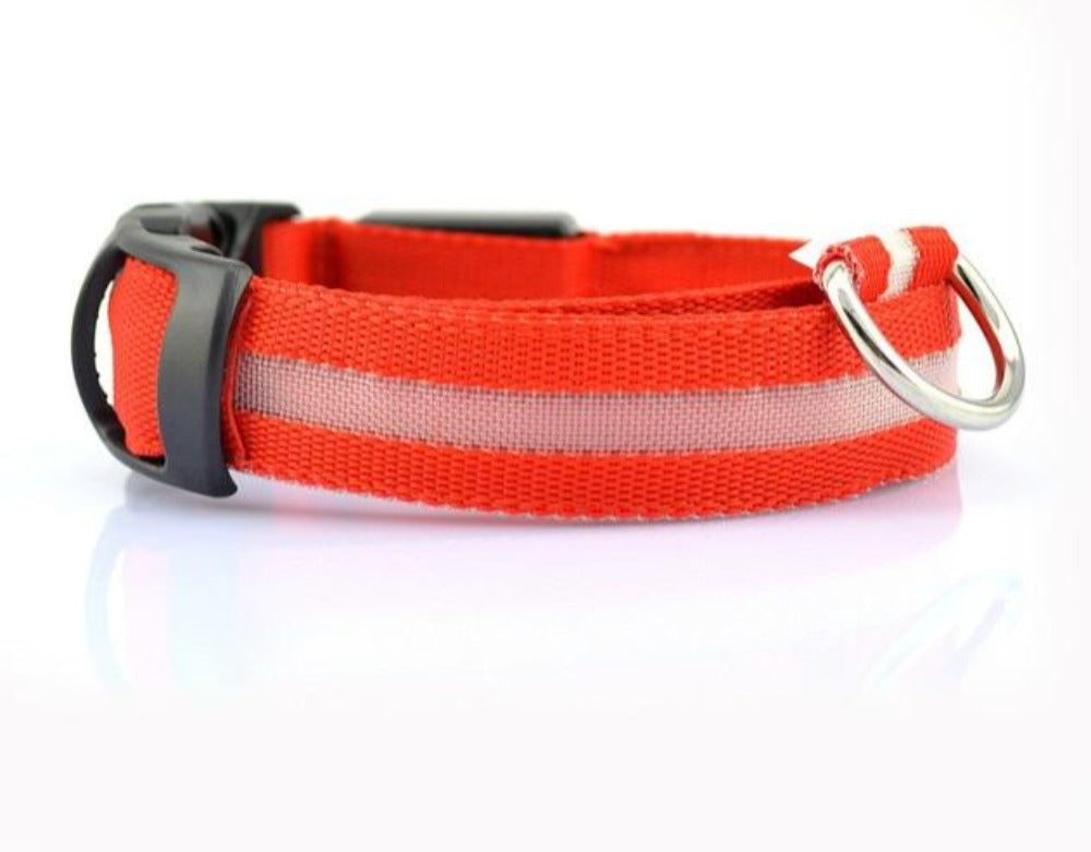 Bark-Bright Nylon LED Dog Collar (2 Pieces)