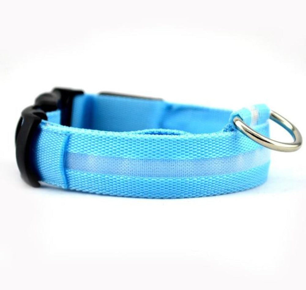 Bark-Bright Nylon LED Dog Collar (2 Pieces)