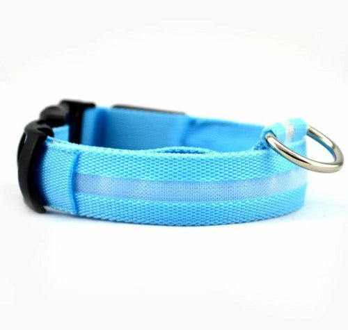 Bark-Bright Nylon LED Dog Collar (2 Pieces)