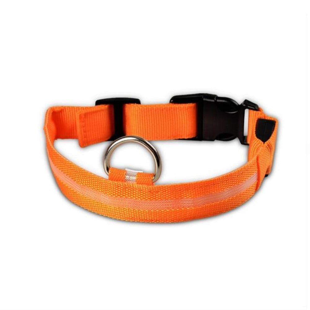 Bark-Bright Nylon LED Dog Collar (2 Pieces)