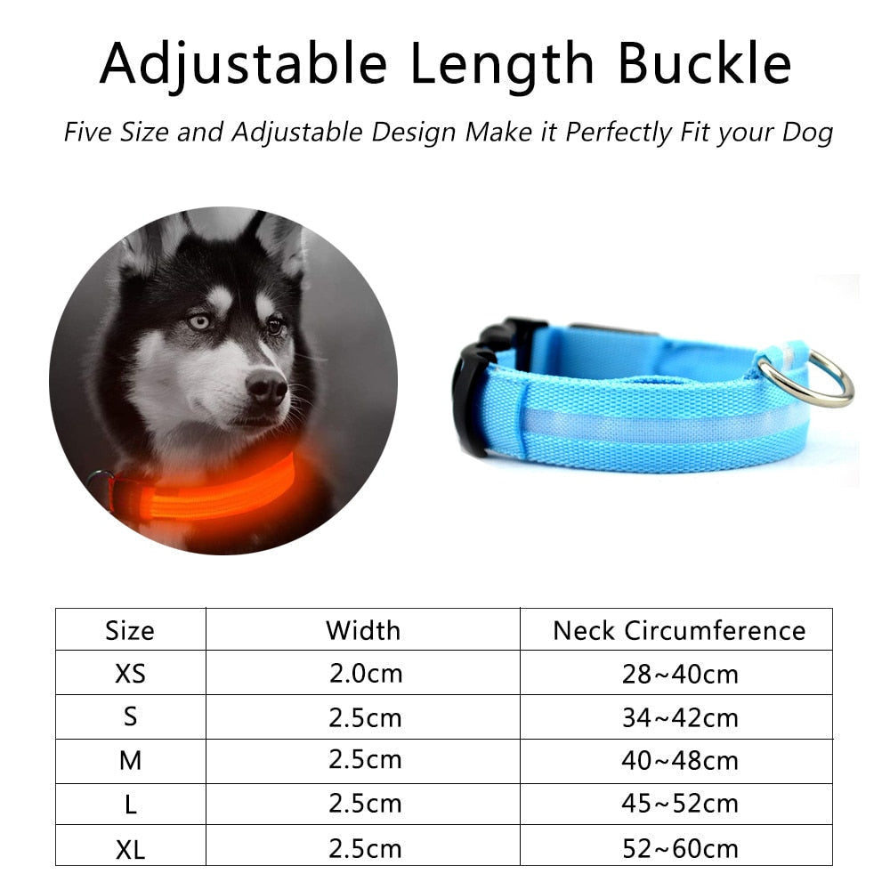 Bark-Bright Nylon LED Dog Collar (2 Pieces)